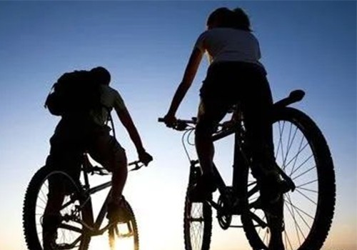 gravel bikes