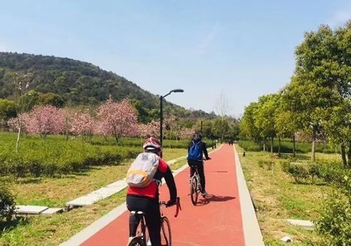 bike riding2 bike riding2
