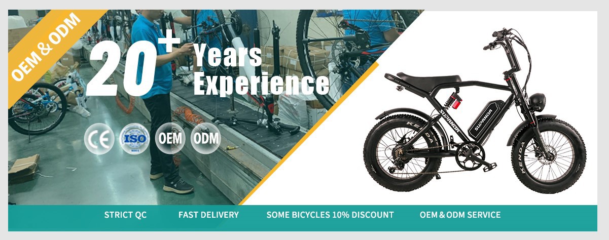 480V 350W electric bike supplier