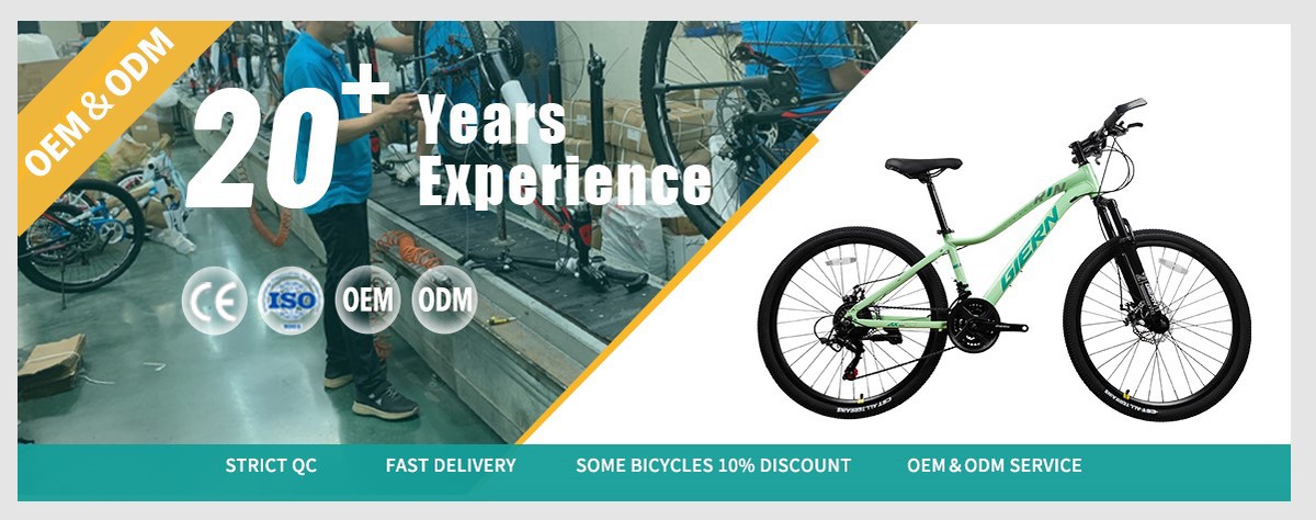 bicycle factory for more than 20 years