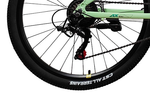 CST tire