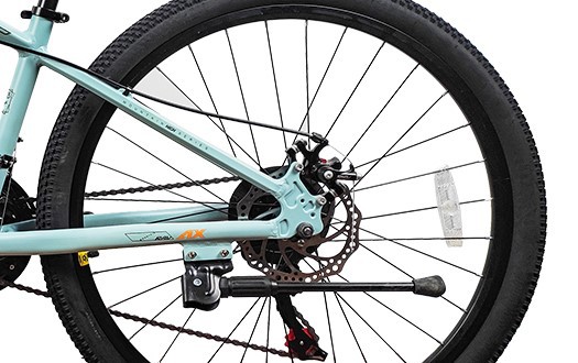 double disc brake