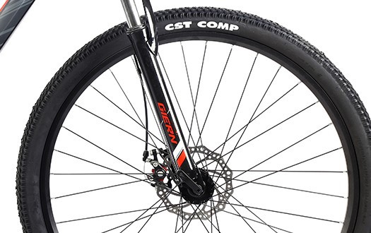 mountain bike with CST tire mountain bike with CST tire