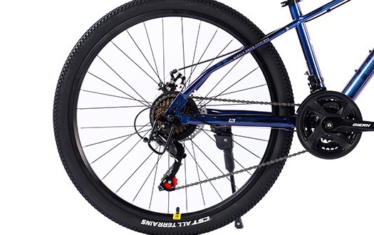 mountain bike with CST tire