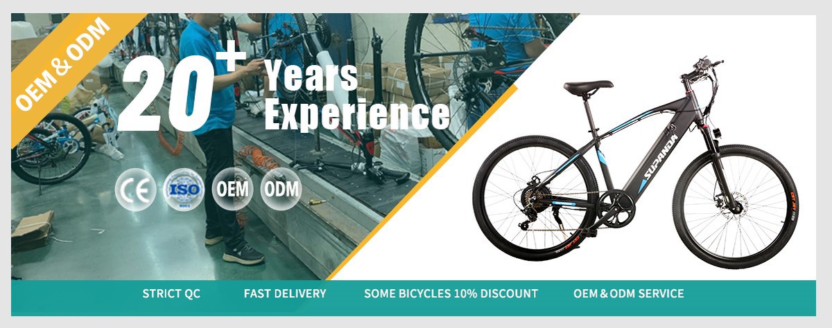 ebike factory manufacture