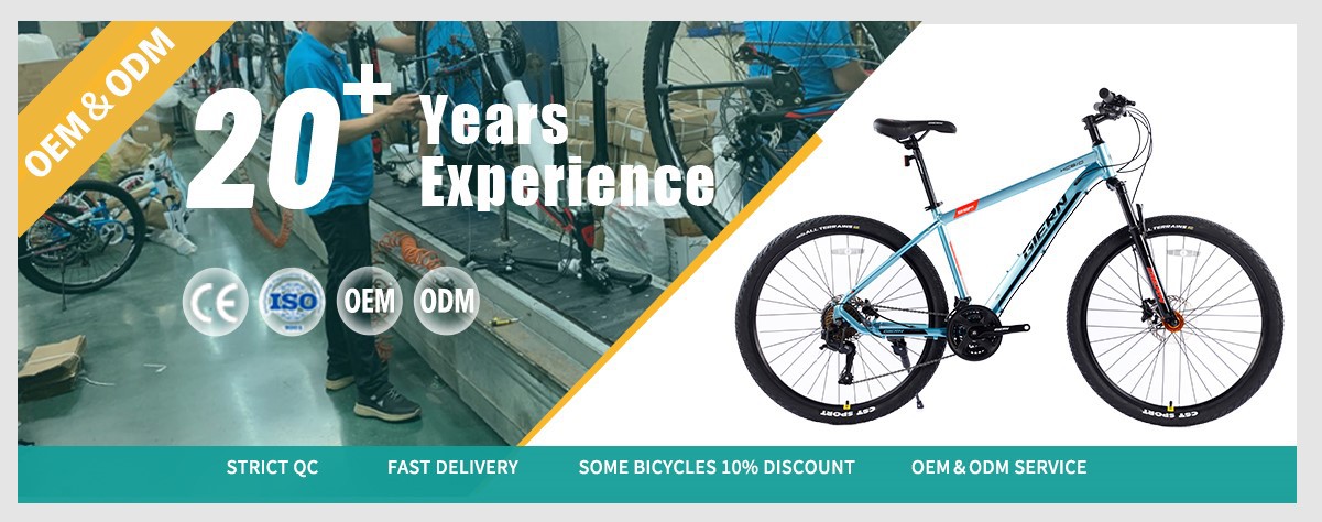 bicycle manufacture for bike wholesale