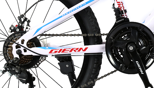 mountain bike freewheel