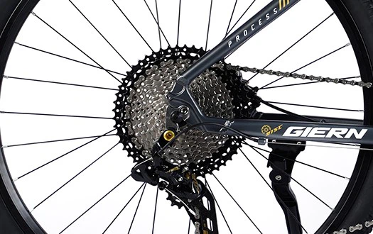 freewheel