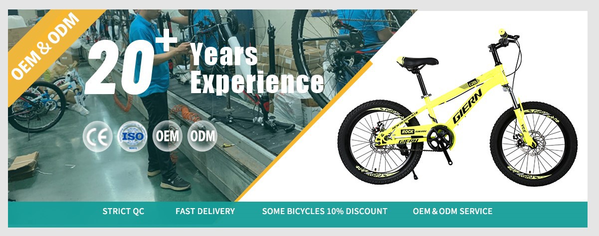 hardtail mountain bike