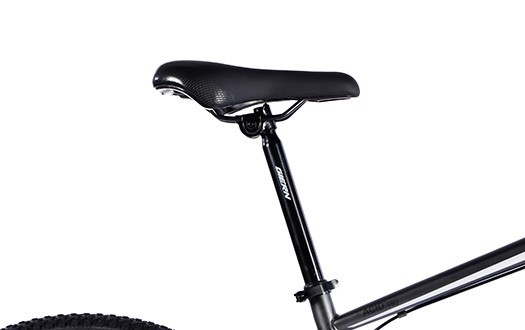 saddle