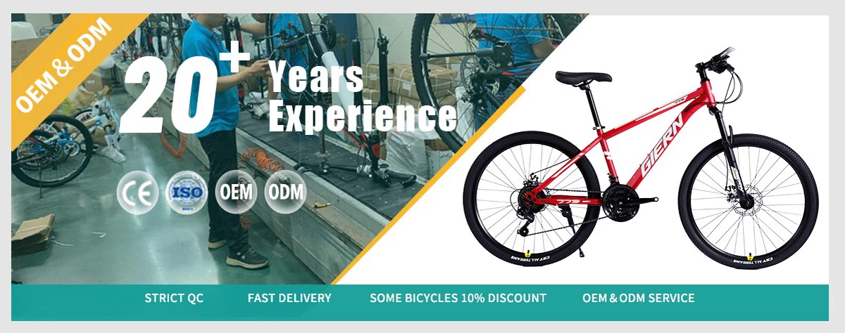 29 inch hardtail mountain bike