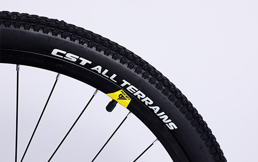 CST tire
