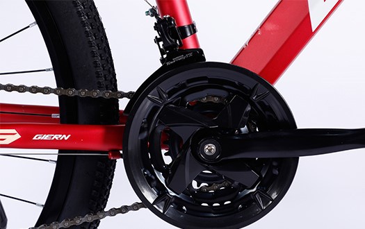 chainwheel