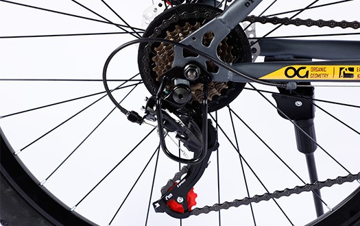 rear derailleur