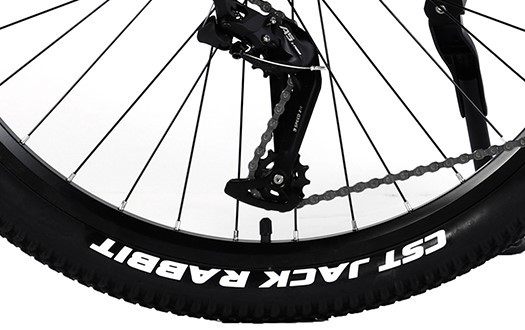 cst mountain bike tire