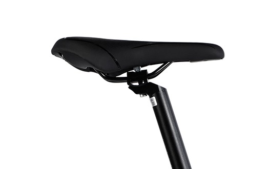 saddle