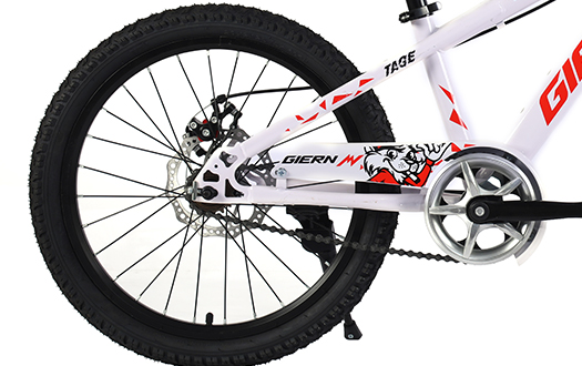 derailleur