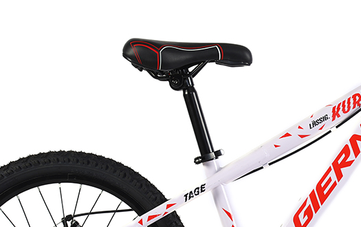 saddle