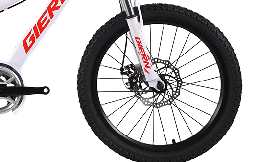 double disc brake