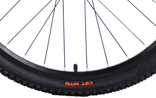 CST tire