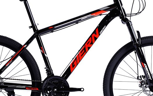 bicycle frame