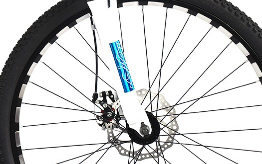 disc brake