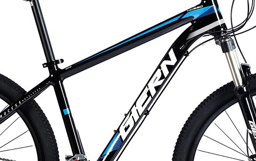 bicycle frame