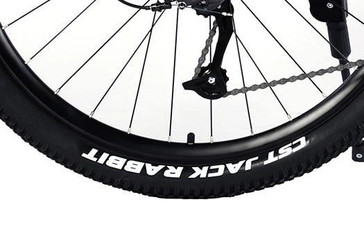 CST tire
