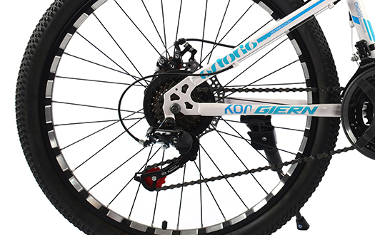 rear derailleur