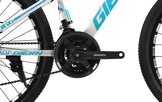 bicycle chainwheel