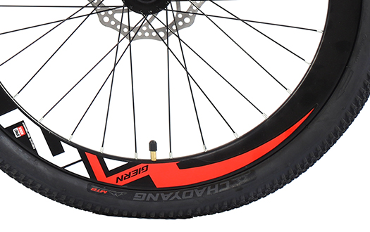 mountain bike tire