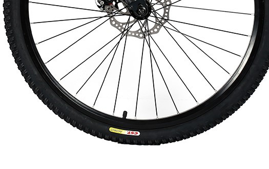 mountain bike CST Tire