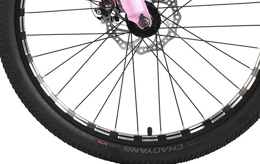 cutter rim mountain bike tire