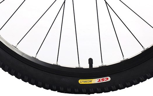 CST mountain bike tire