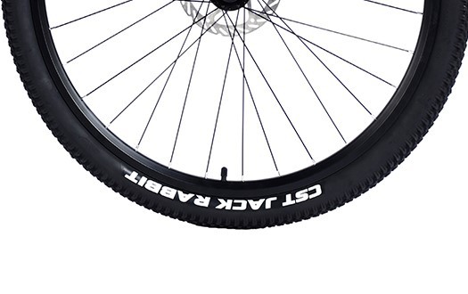 mountain bike CST tire mountain bike CST tire