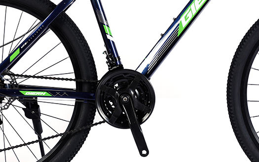 chainwheel