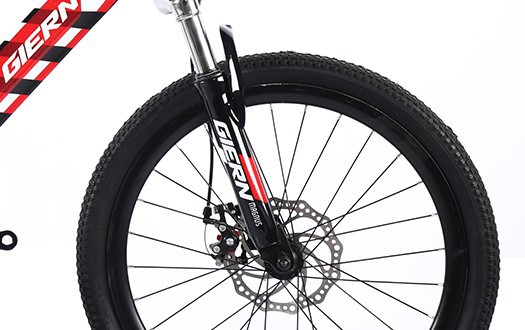 front Disc brake
