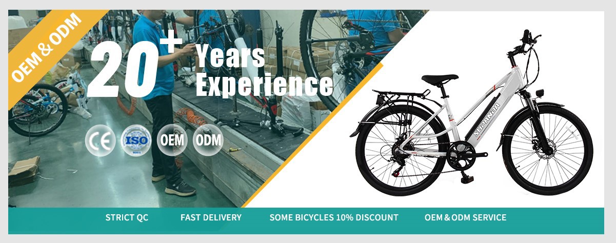 electric city bike