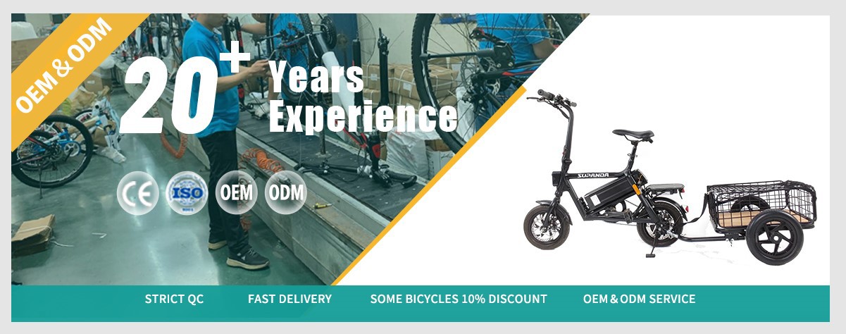 Electric bicycle with bucket