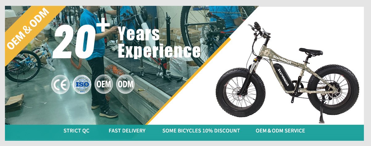 electric mountain bike