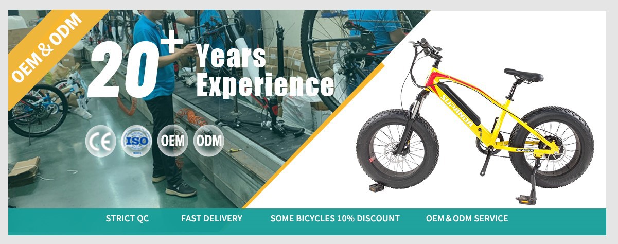 electric mountain bike wholesale