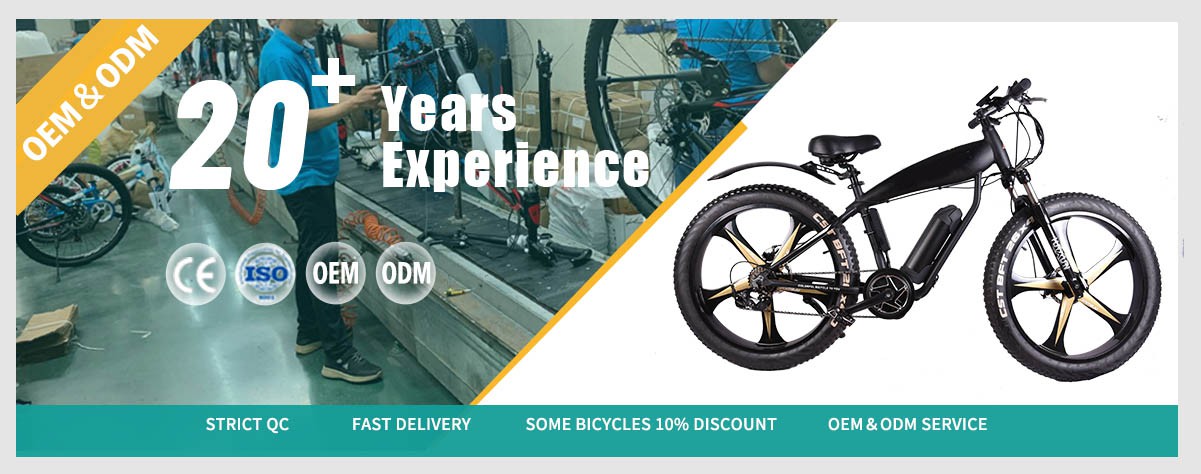 CST Tire 500W Electric Mountain bike