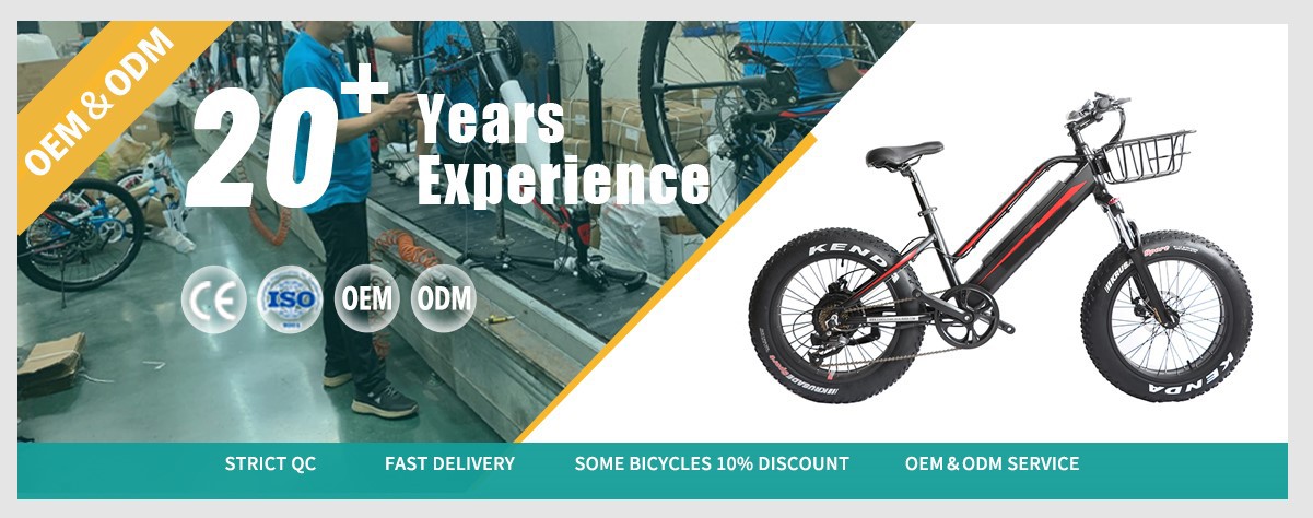 Electric commuter bike ebikes Electric commuter bike ebikes
