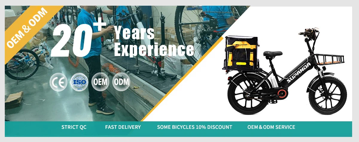 delivery Electric bike