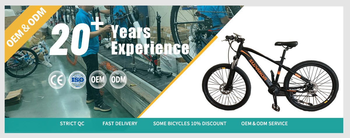 mid motor electric mountain Bike wholesale