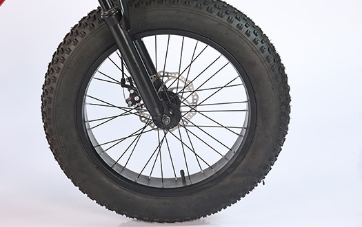 CST fat tire