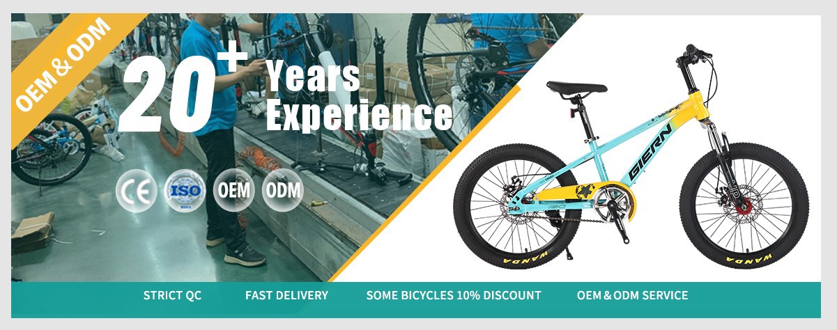 20 inch single speed mountain bike