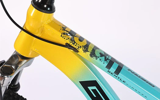 high carbon steel frame mtb