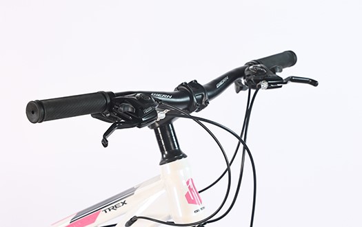 straight handlebar