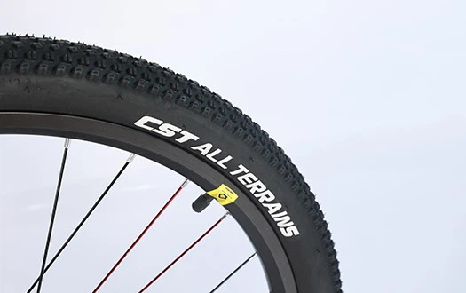 CST tire
